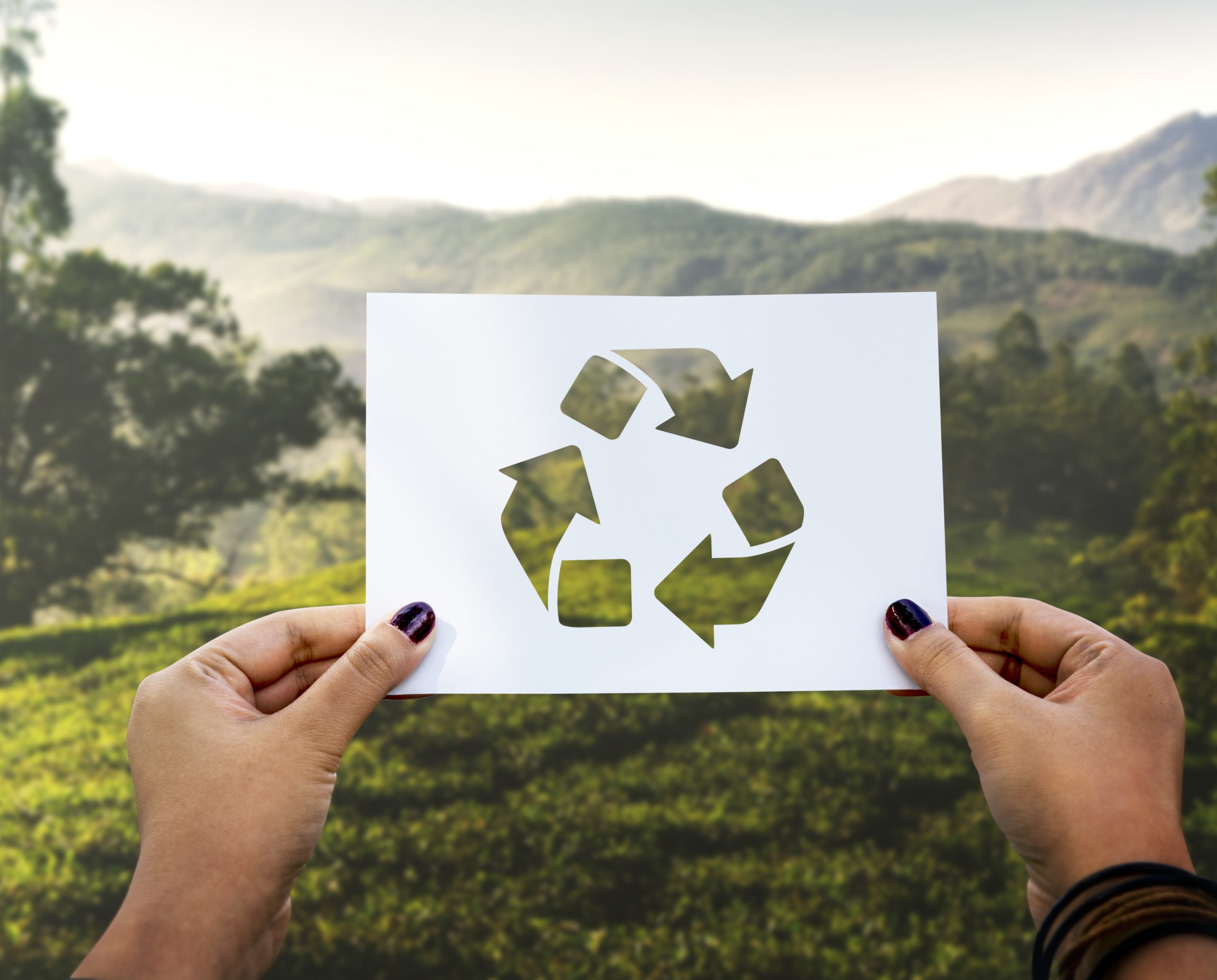 Ekologiczne kosmetyki – pielęgnacja w zgodzie z naturą i planetą